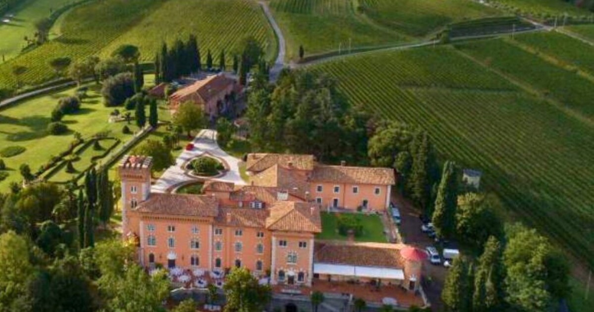 Vineyard estate in Friuli Italy where the Cinque Wine Bar concept was inspired in 2004 during a transformative wine experience.