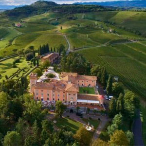Vineyard estate in Friuli Italy where the Cinque Wine Bar concept was inspired in 2004 during a transformative wine experience.
