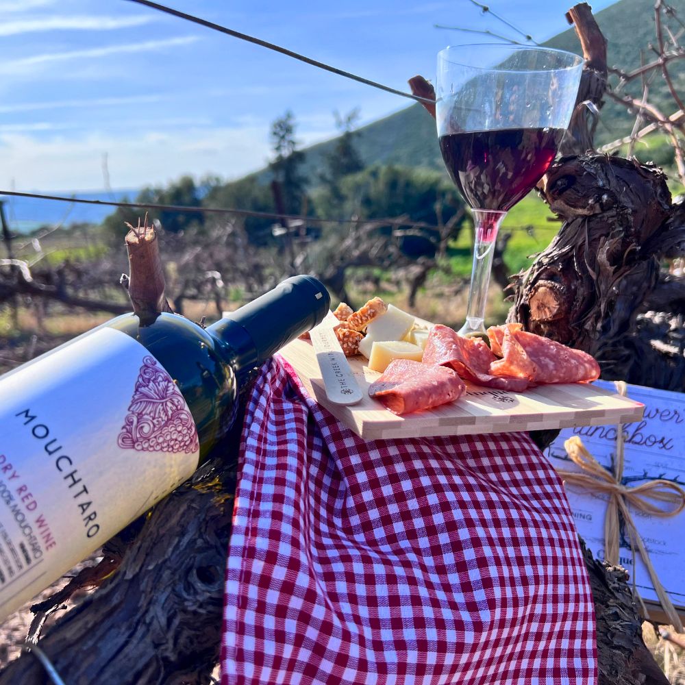 Mouhtaro Greek red wine served in vineyard during pruning season with cheese and charcuterie pairing in Greece.