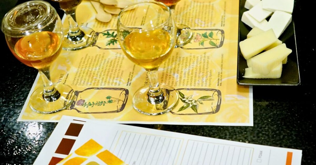 Greek honey tasting with four honey samples and Greek cheese pairing at Cinque Wine & Deli