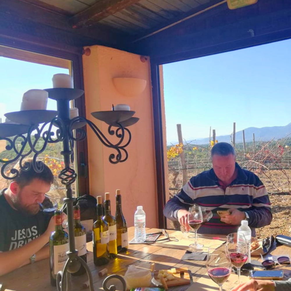 Nikitas Prassas with a guest during a private Cinque winery visit